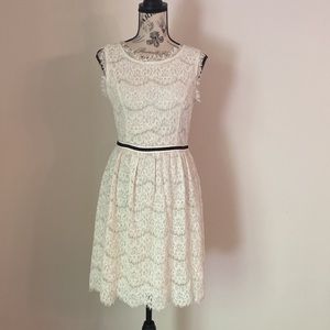 ARK & CO Womens Dress Small Lace Sleeveless Fit and Flare